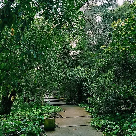 Legendary Hotel apartamentowy